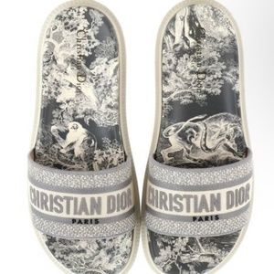 Christian Dior Dway Slides